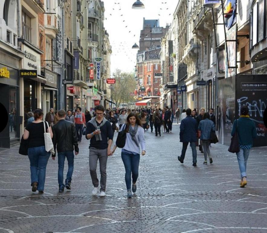 Le Petit Paradis De Lille Mons-en-Baroeul Екстериор снимка